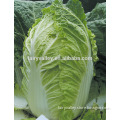 Hybrid Cabbage seeds for growing-Crown